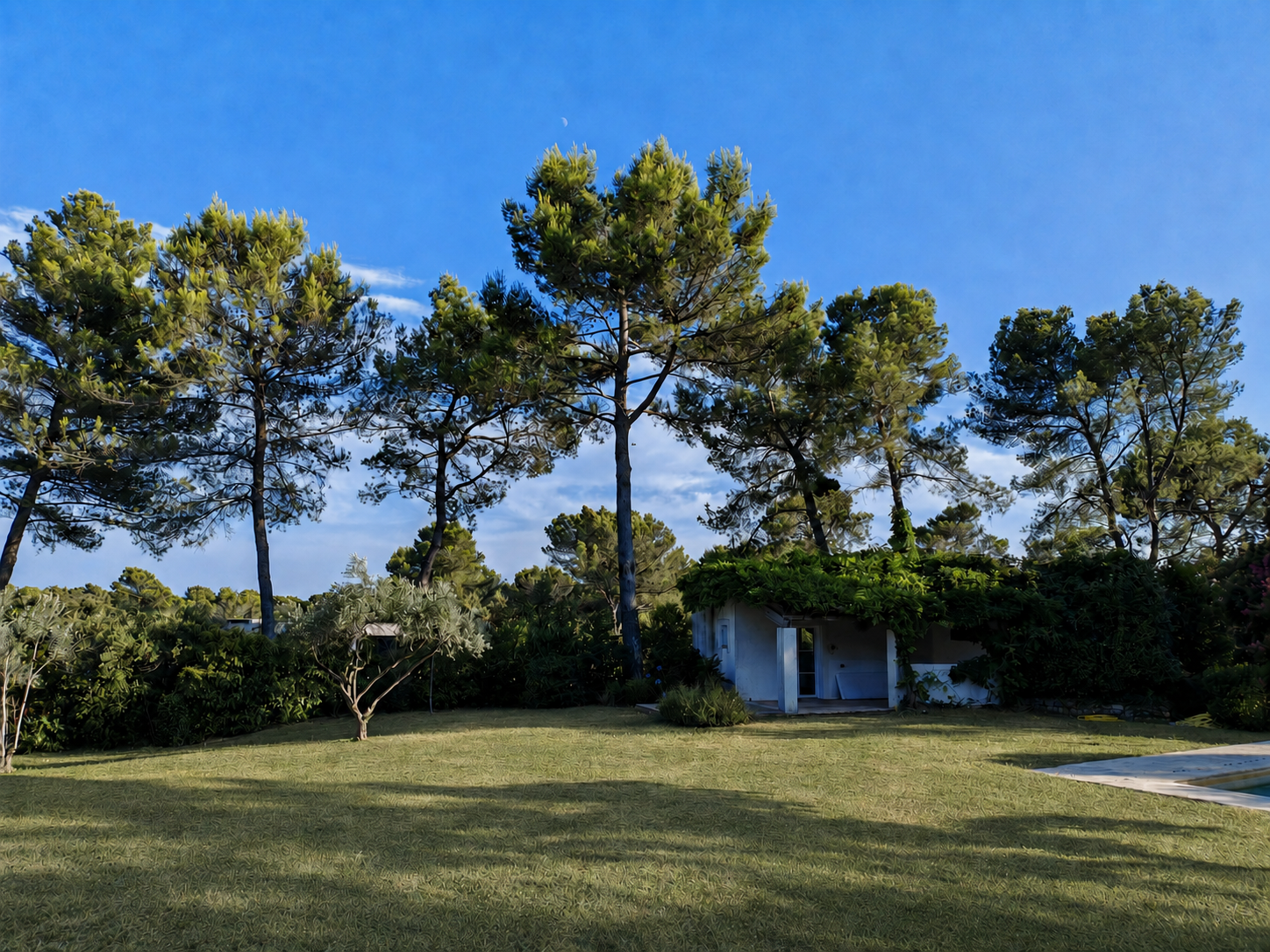 Le jardin